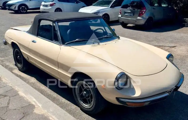 1978 Alfa Romeo Spider