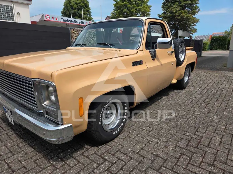 1979 Chevrolet Other