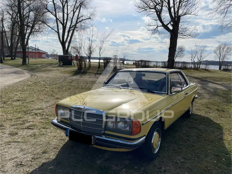 1979 Mercedes Benz 230