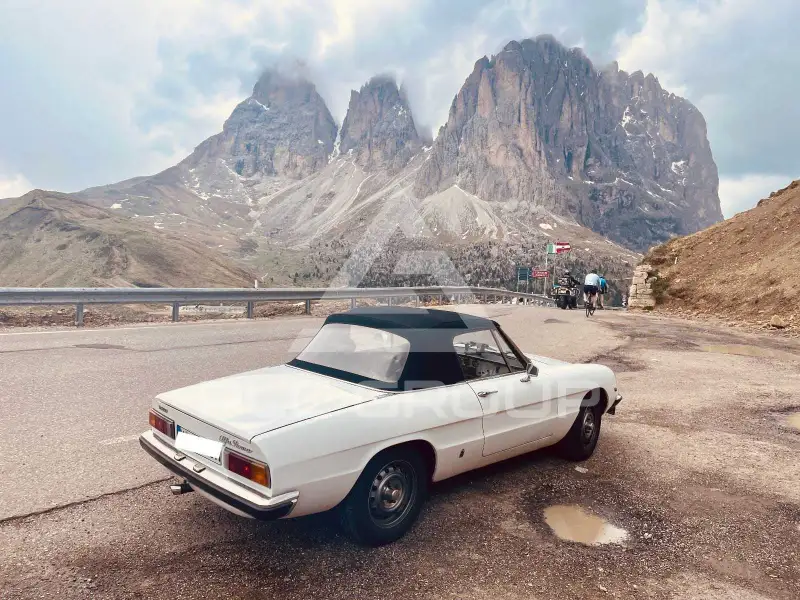 1979 Alfa Romeo Spider