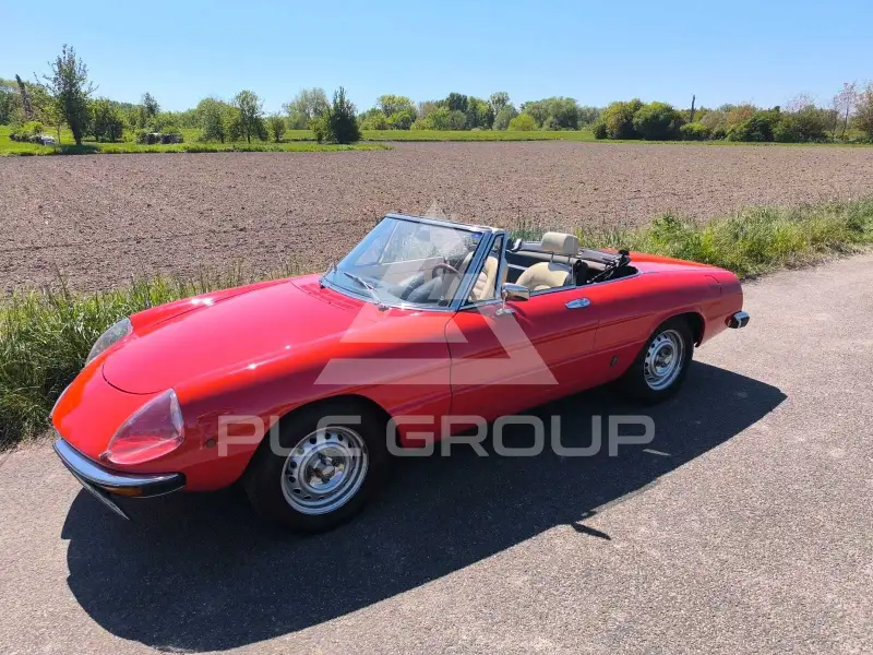 1979 Alfa Romeo Spider