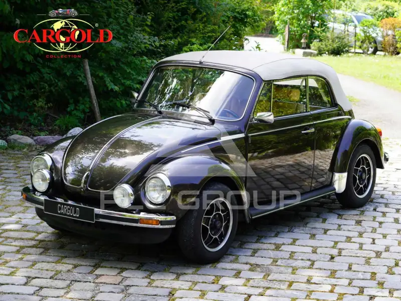 1979 Volkswagen Others