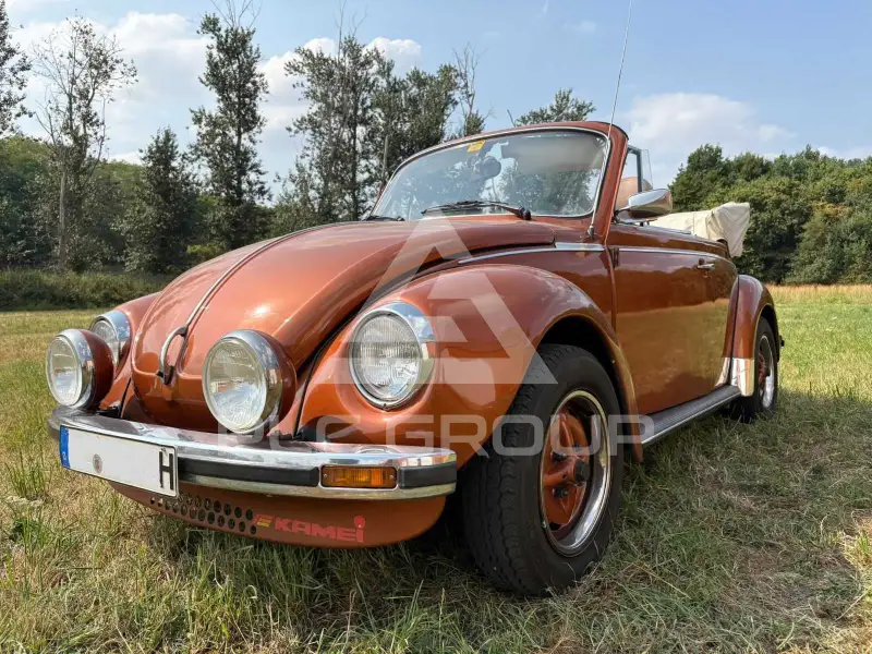 1979 Volkswagen BEETLE