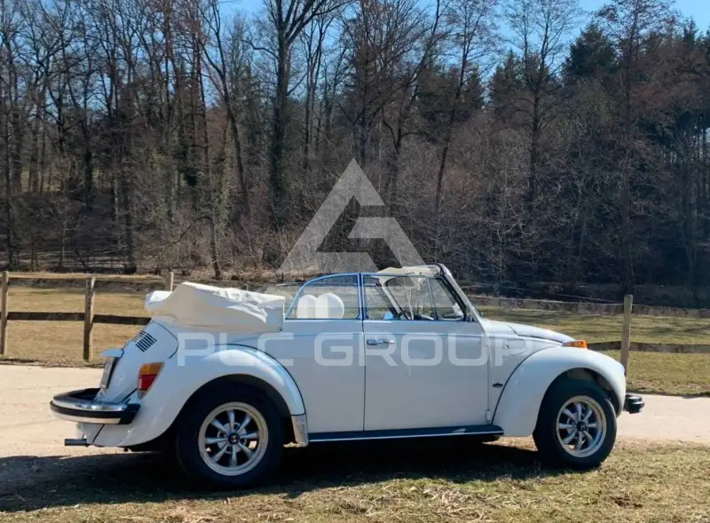 1979 Volkswagen BEETLE