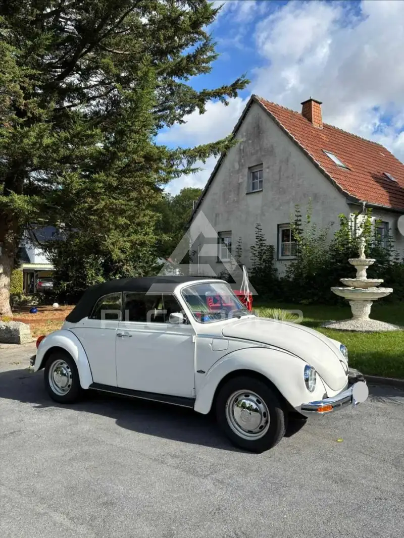 1979 Volkswagen BEETLE