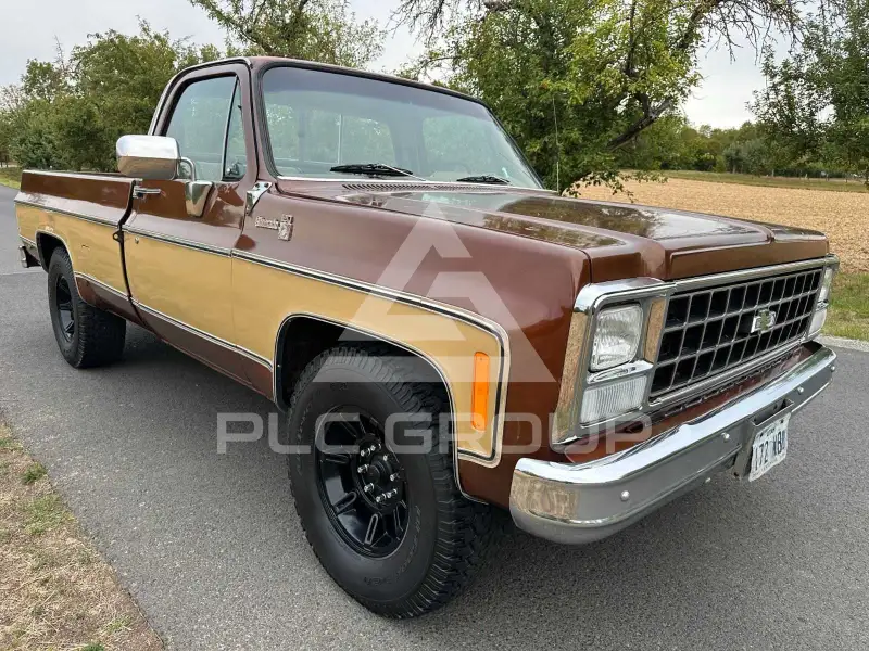1980 Chevrolet Silverado