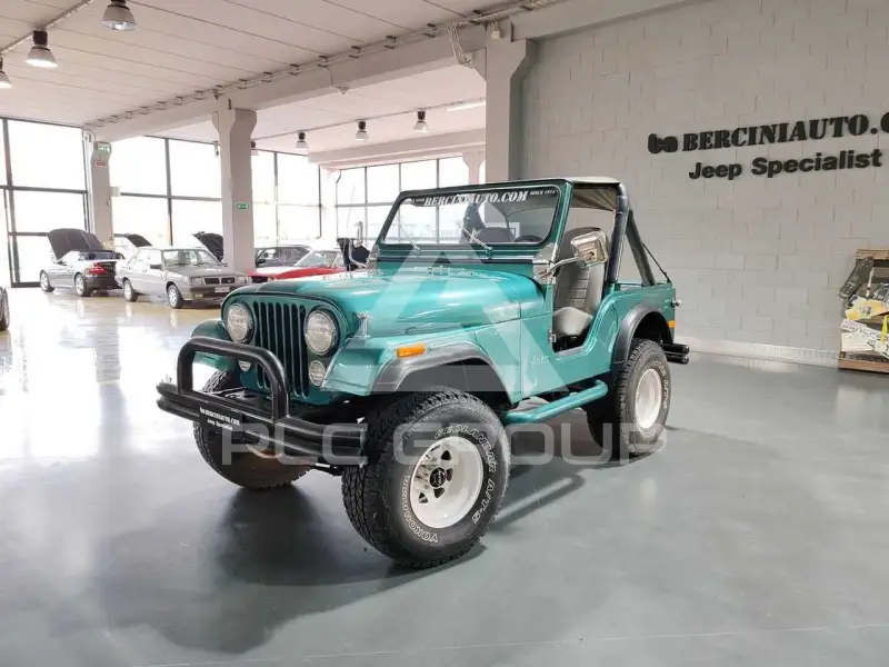 1980 Jeep Unknown