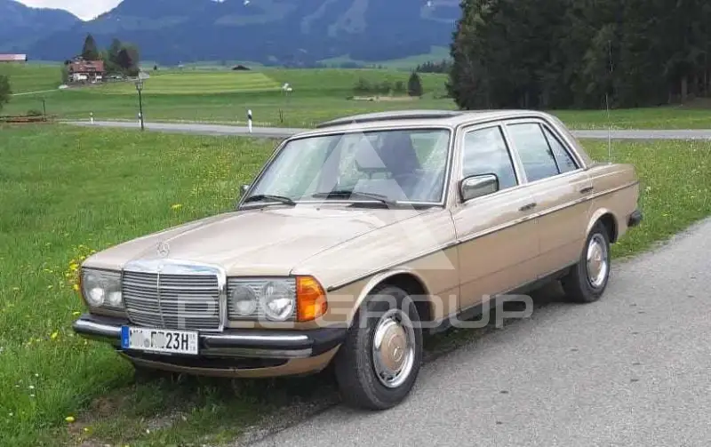 1980 Mercedes Benz 250
