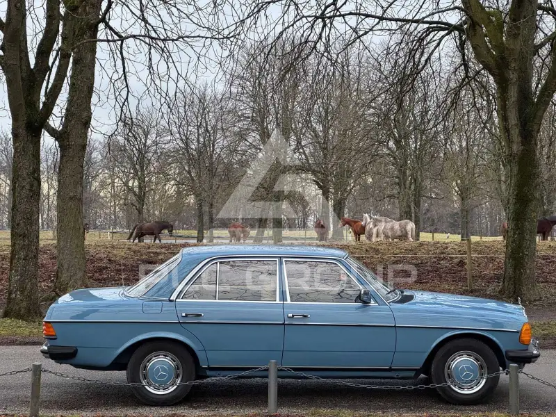 1981 Mercedes Benz 200