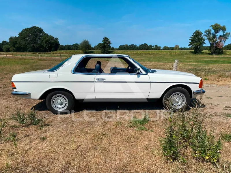 1981 Mercedes Benz 230