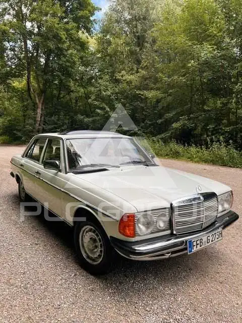 1981 Mercedes Benz 230