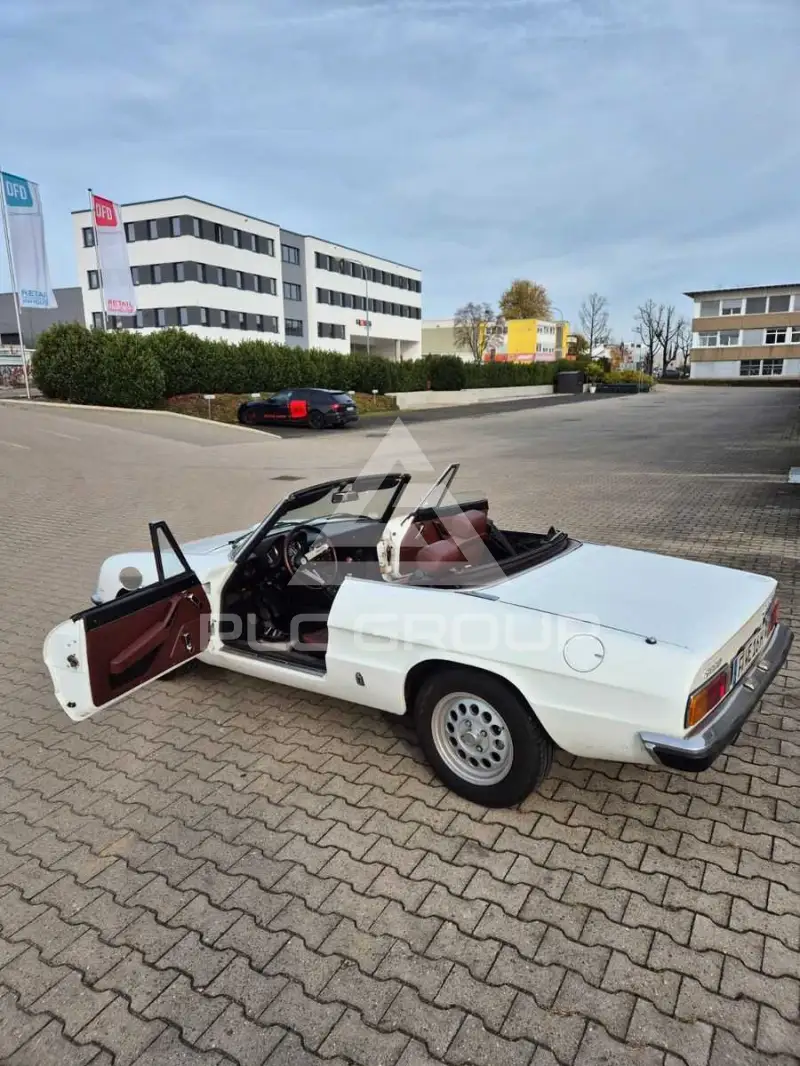 1981 Alfa Romeo Spider