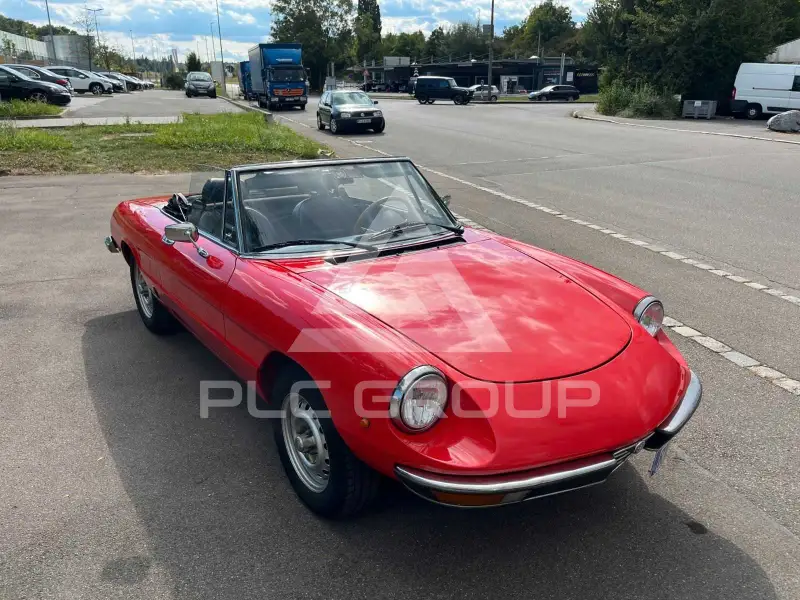 1981 Alfa Romeo Spider