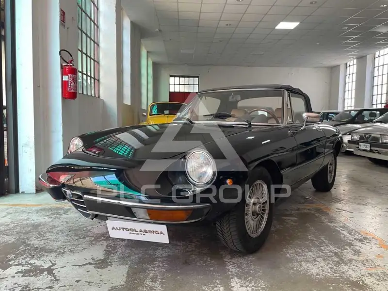 1981 Alfa Romeo Spider