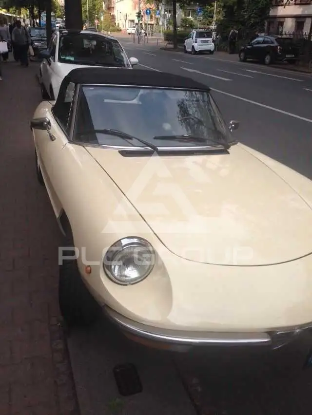 1981 Alfa Romeo Spider