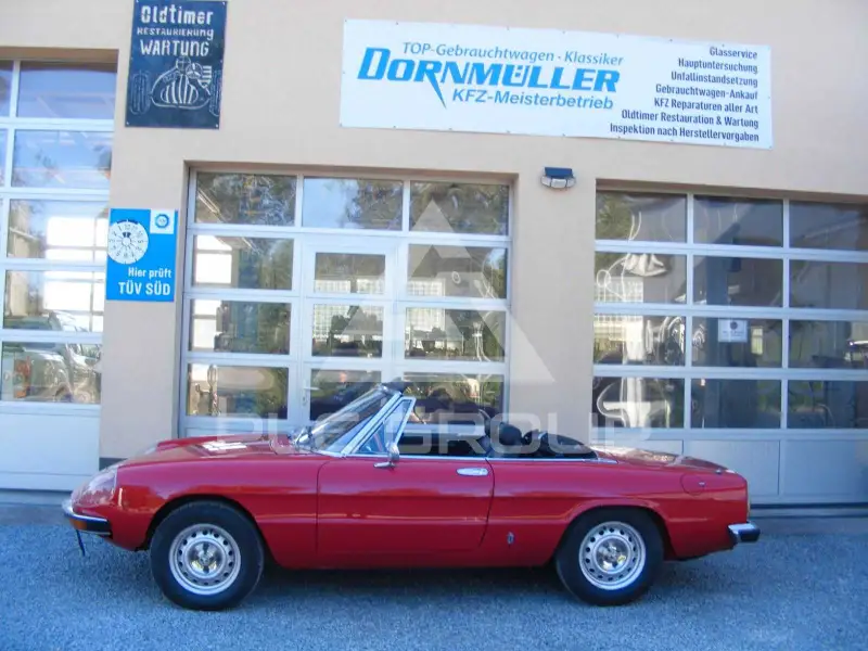 1981 Alfa Romeo Spider