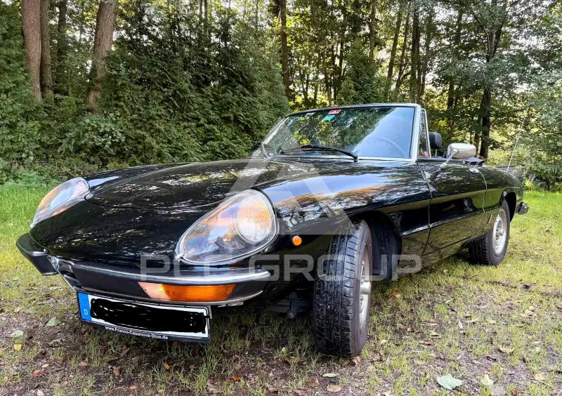 1981 Alfa Romeo Spider