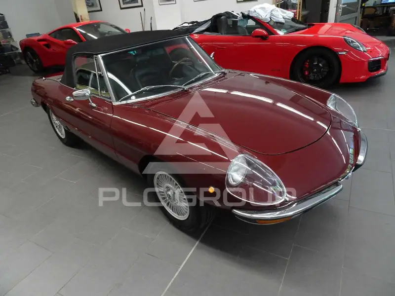 1981 Alfa Romeo Spider