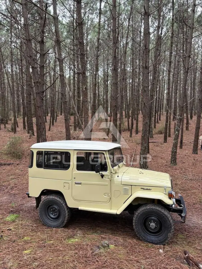 1981 Toyota LAND CRUISER