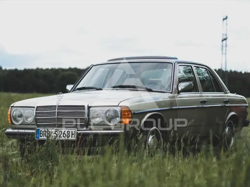 1982 Mercedes Benz 250