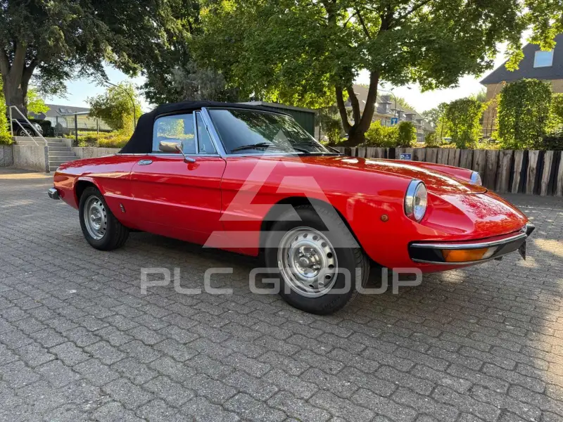 1982 Alfa Romeo Spider