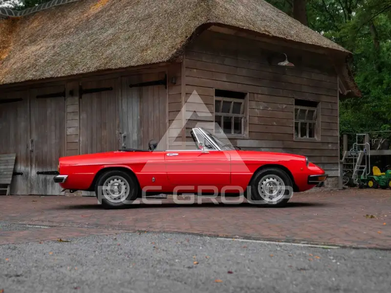 1982 Alfa Romeo Spider