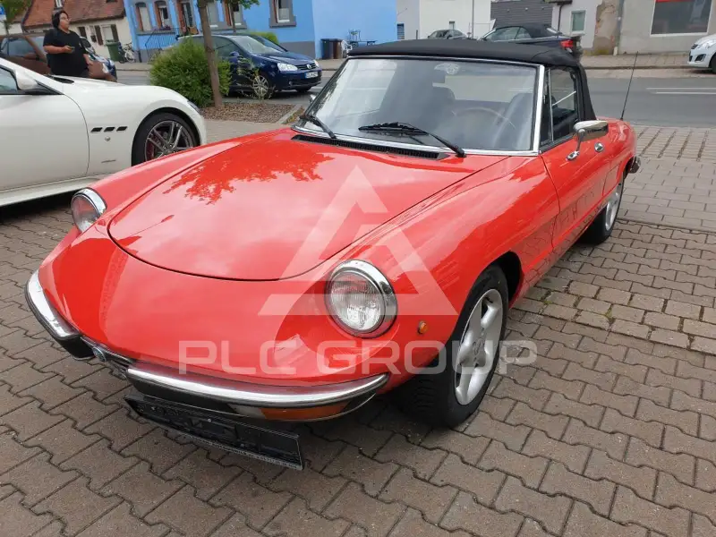1982 Alfa Romeo Spider