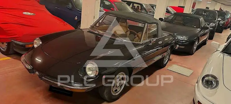 1982 Alfa Romeo Spider