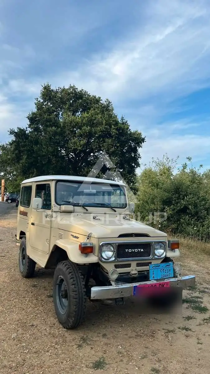 1982 Toyota FJ Cruiser