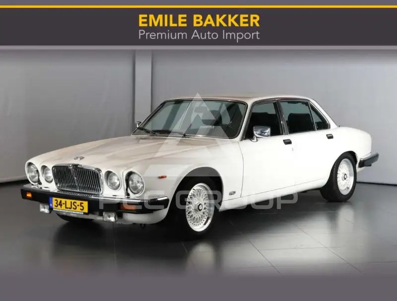 1983 Jaguar Unknown