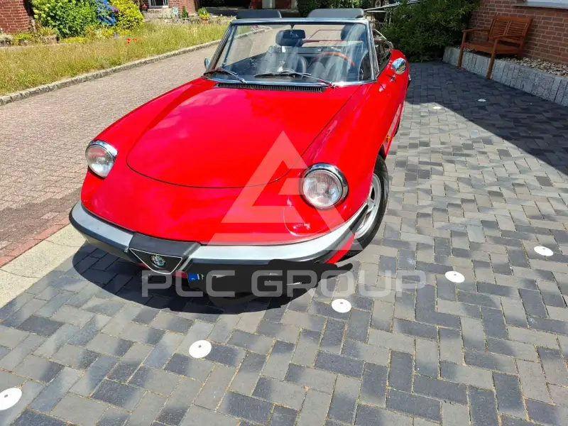 1984 Alfa Romeo Spider