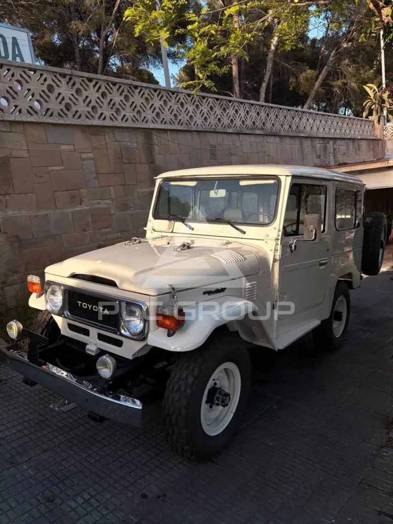 1984 Toyota LAND CRUISER