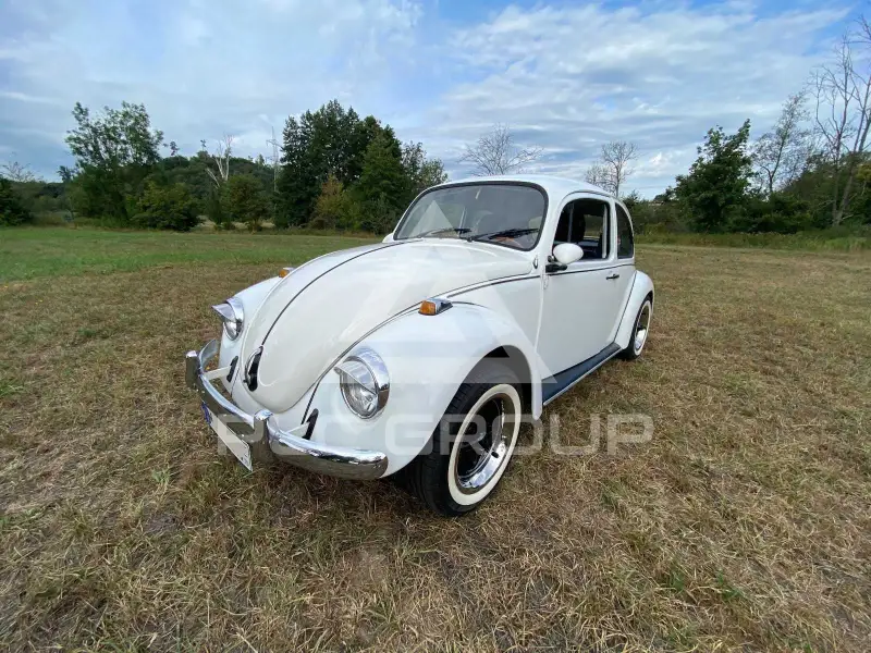 1984 Volkswagen BEETLE
