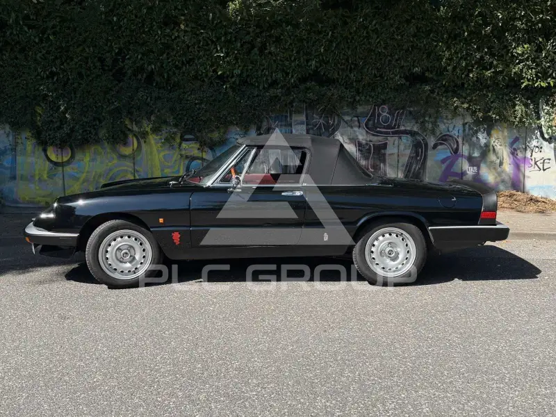 1985 Alfa Romeo Spider