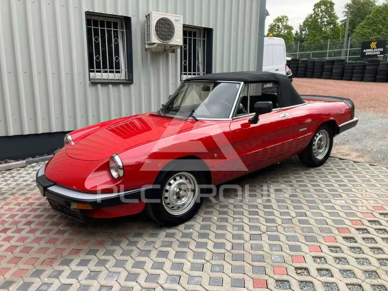 1986 Alfa Romeo Spider