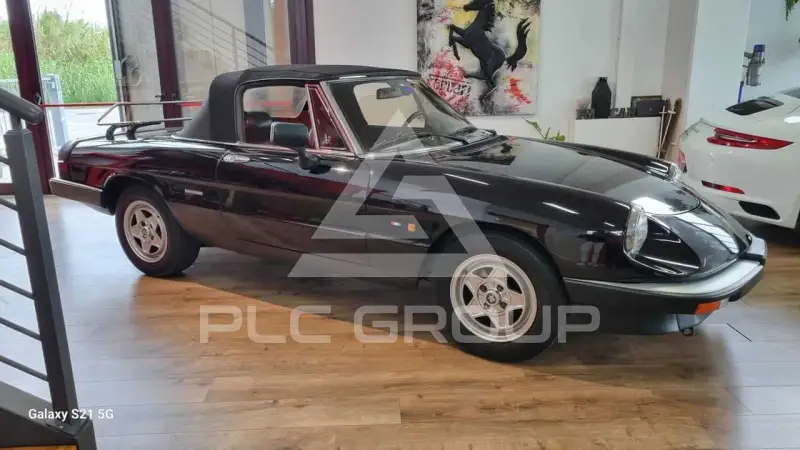 1986 Alfa Romeo Spider