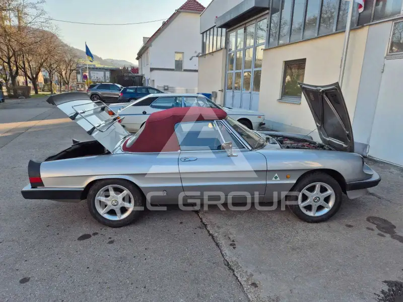 1986 Alfa Romeo Spider