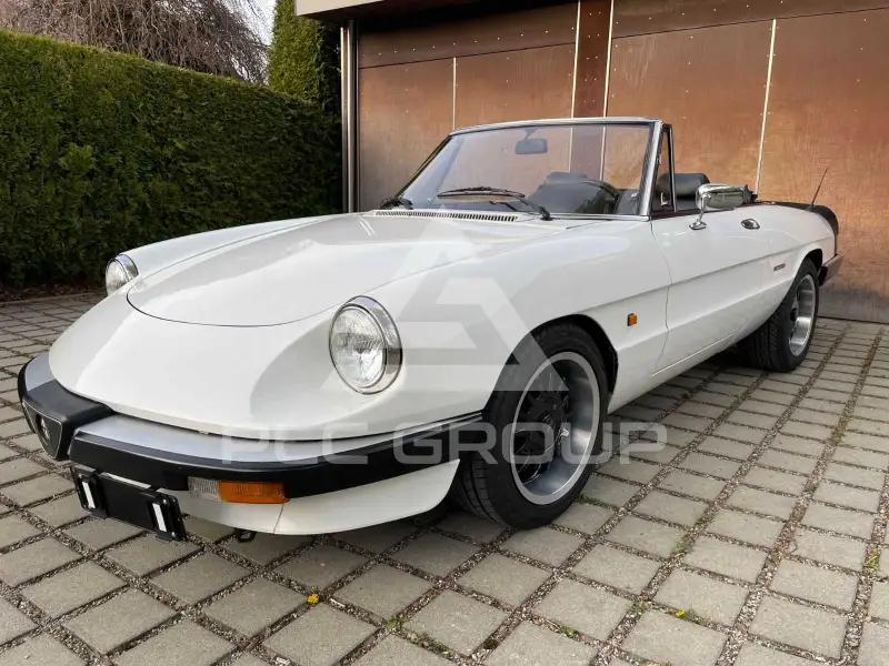1987 Alfa Romeo Spider