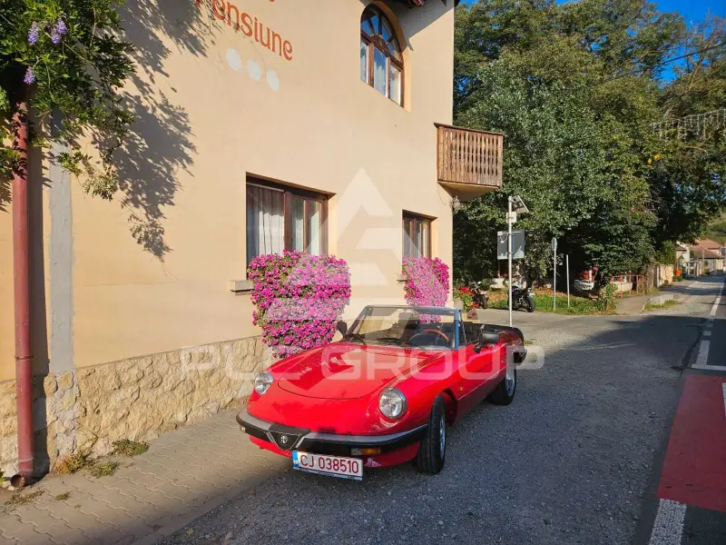 1987 Alfa Romeo Spider