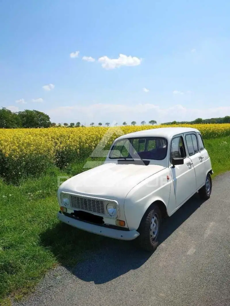 1987 Renault R 4