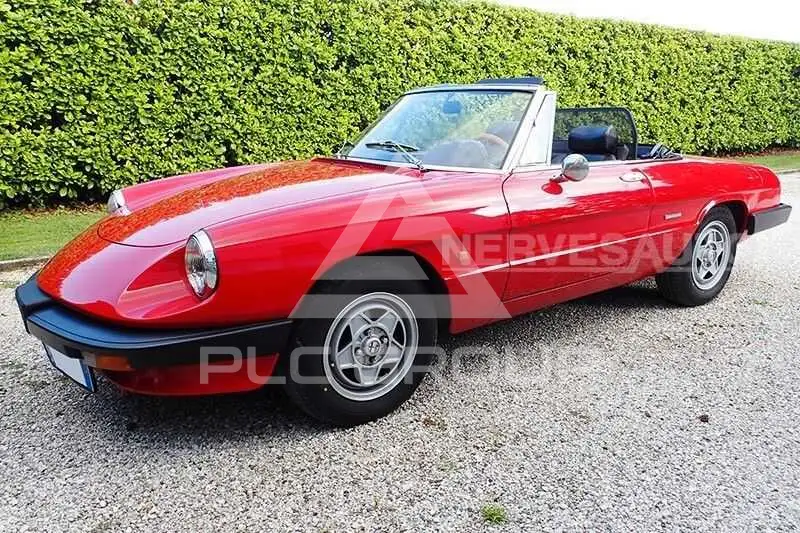 1989 Alfa Romeo Spider