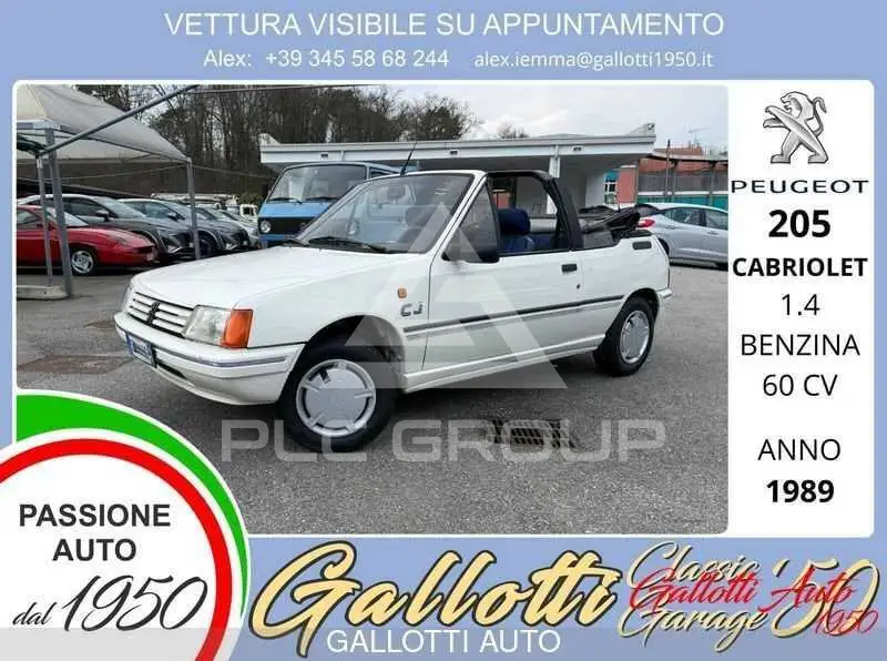 1989 Peugeot 205