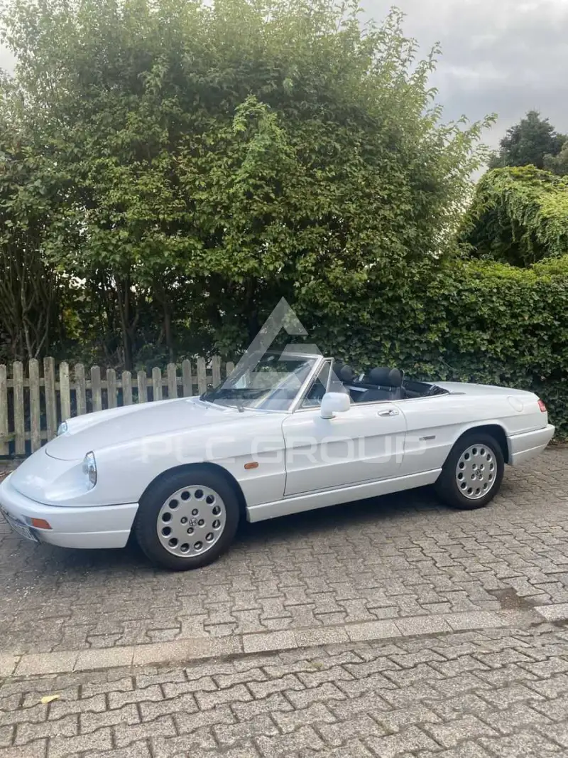 1990 Alfa Romeo Spider
