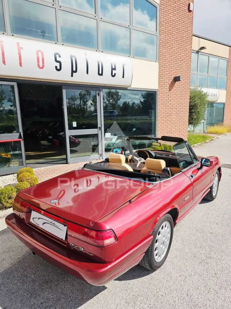 1990 Alfa Romeo Spider