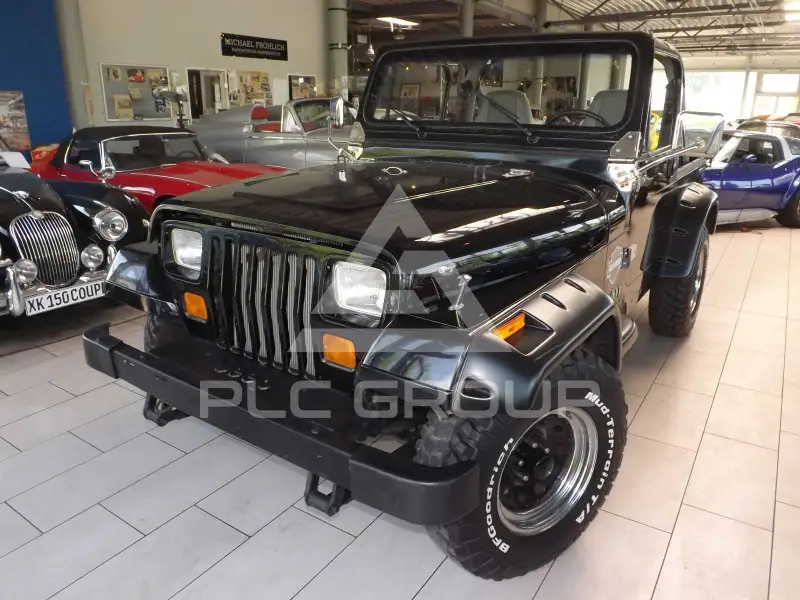 1991 Jeep WRANGLER