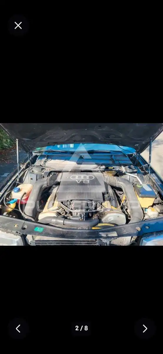 1991 Audi V8
