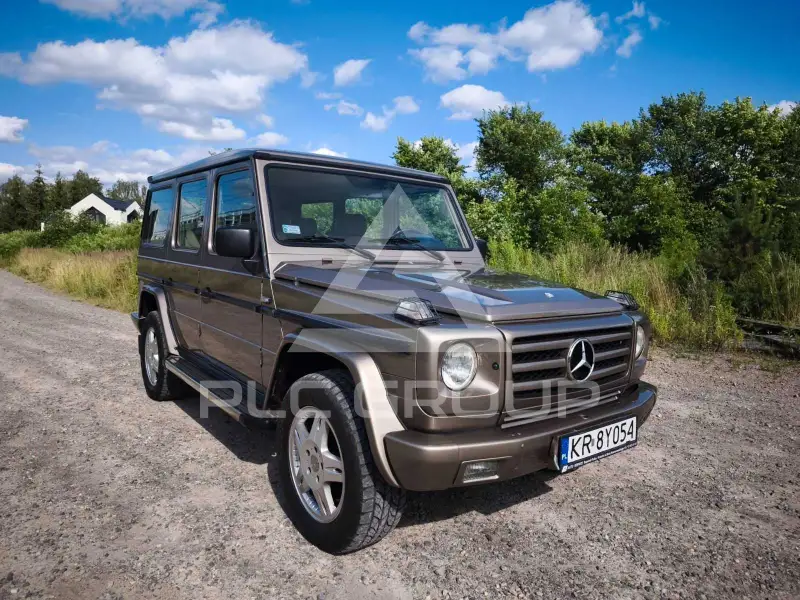 1991 Mercedes Benz G 300