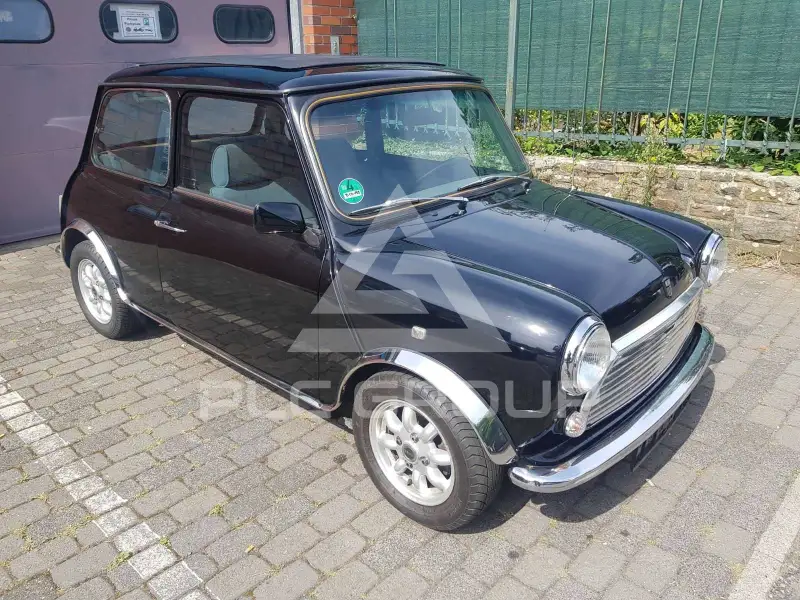 1991 Mini 