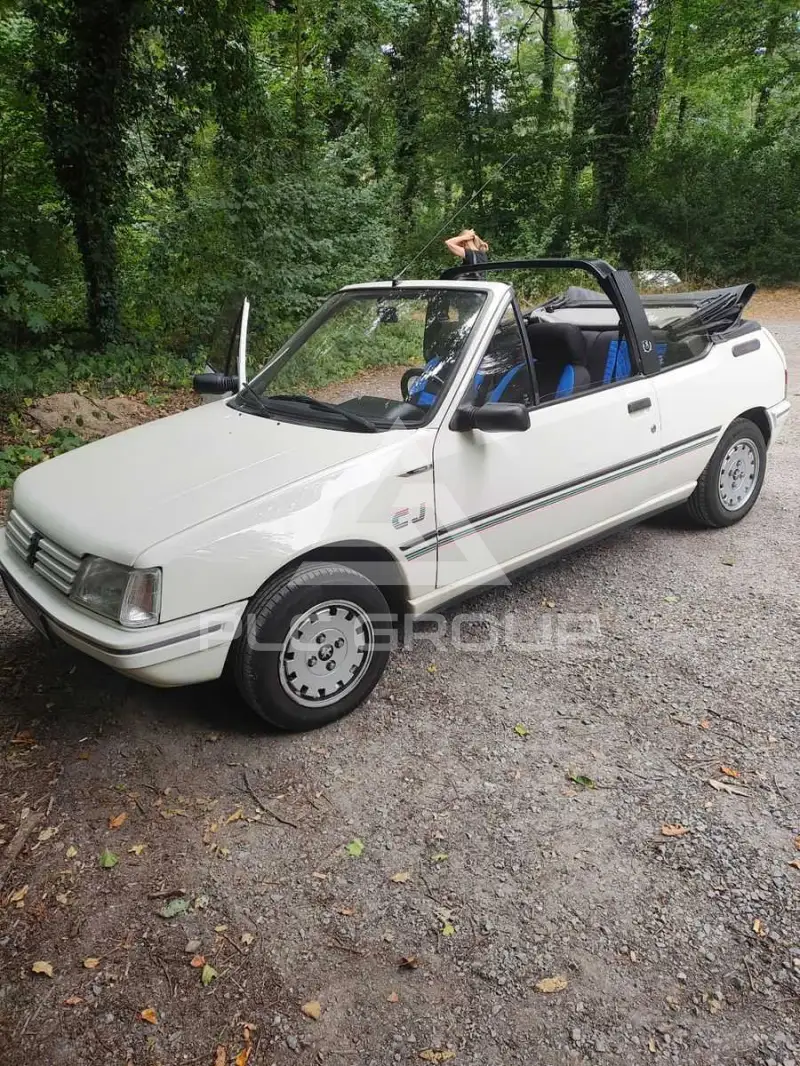 1991 Peugeot 205