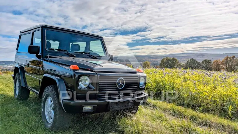 1993 Mercedes Benz G 300